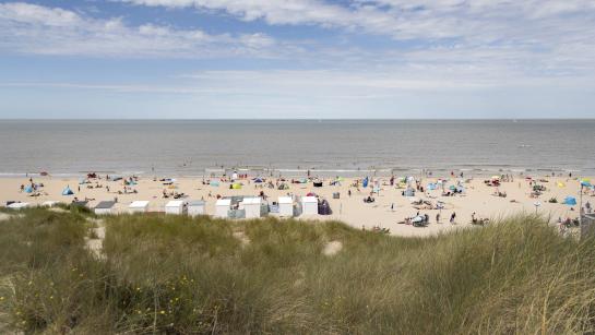 Zicht op strand en duinen