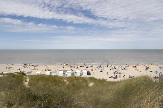 Zicht op strand en duinen